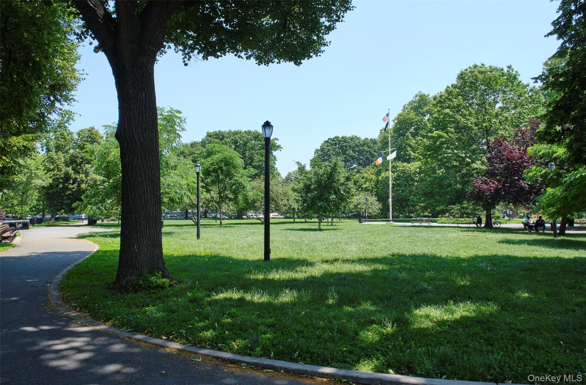 99 Pioneer Street, Brooklyn, NY 11231