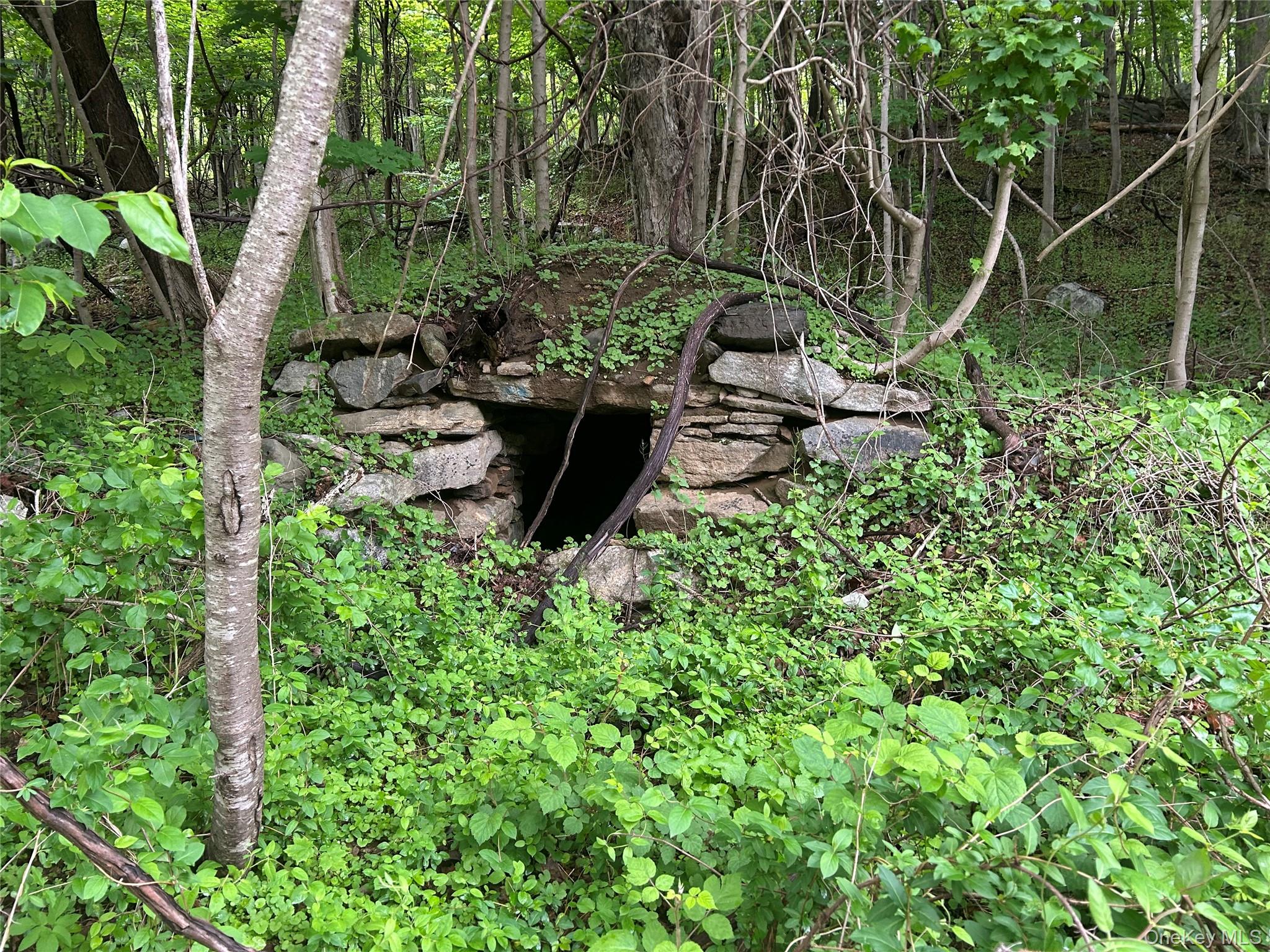 541 Route 52 # 539, Carmel, NY 10512