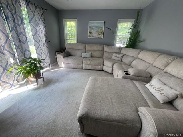 10 Trout Ponds Court, Brookhaven, NY 11719