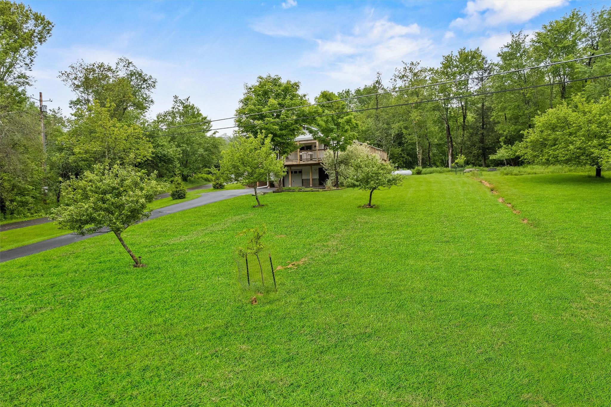 1013 Cooley Road, Parksville, NY 12768