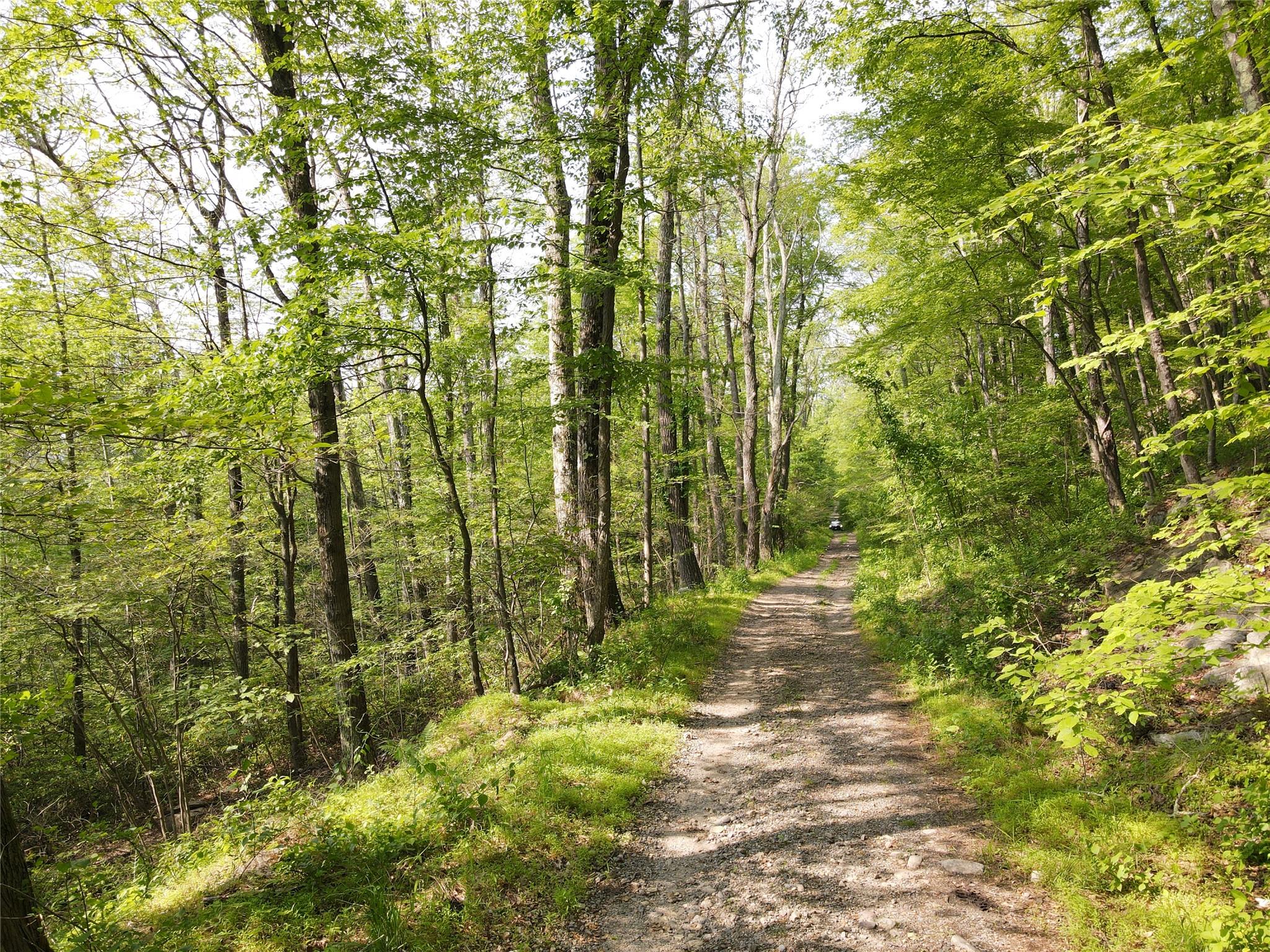 Route 52, Ellenville, NY 12489