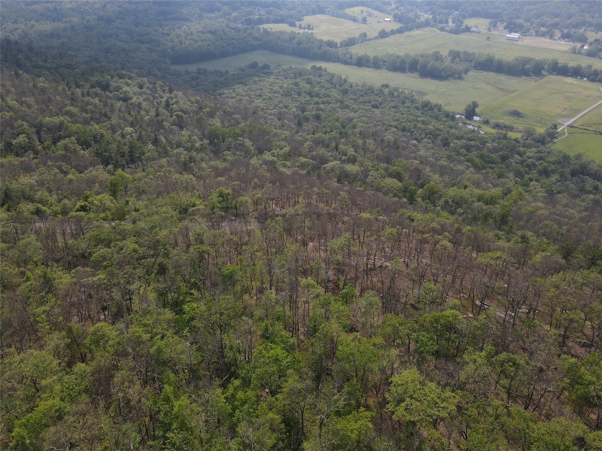 Route 52, Ellenville, NY 12489