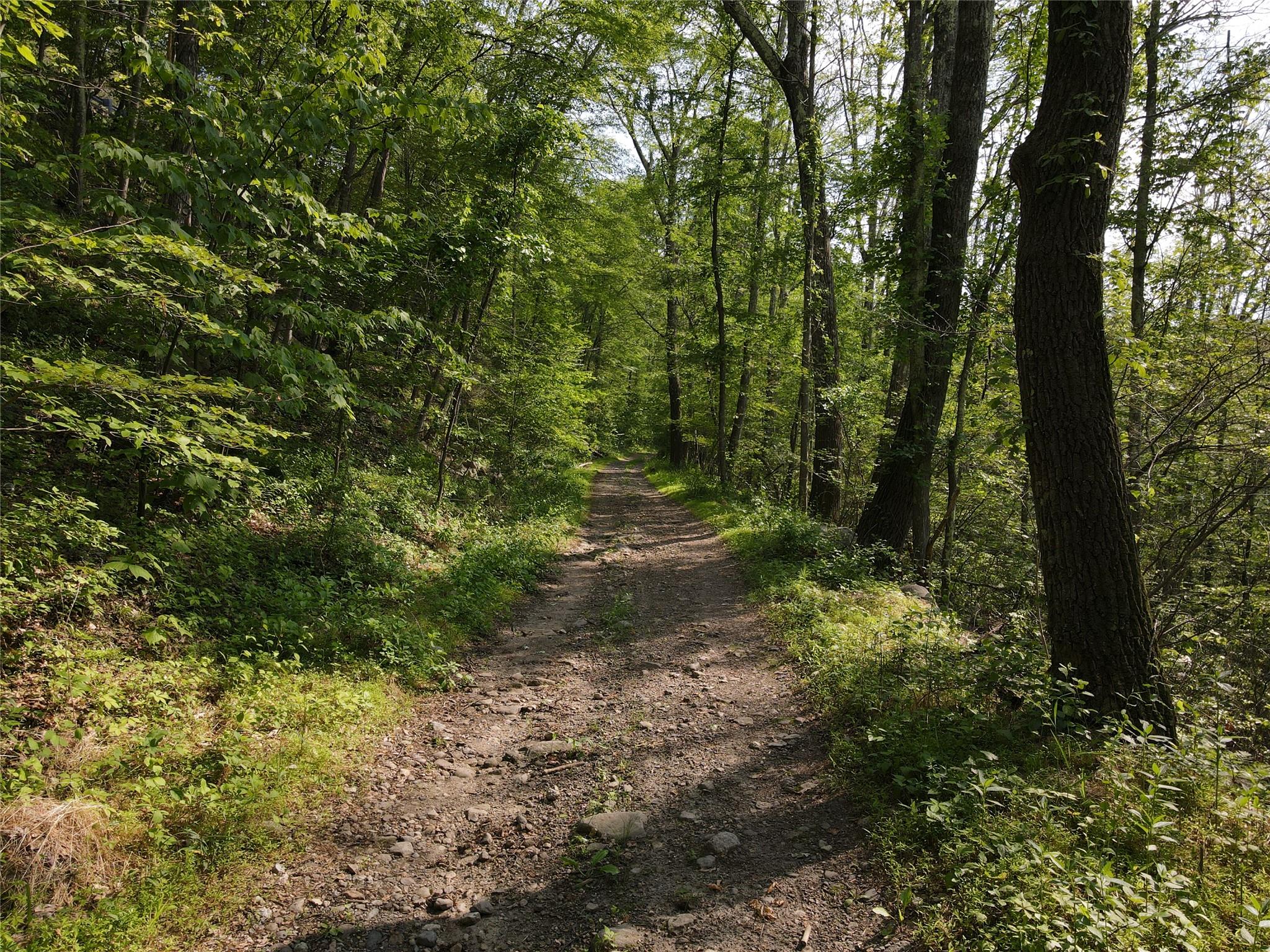 Route 52, Ellenville, NY 12489