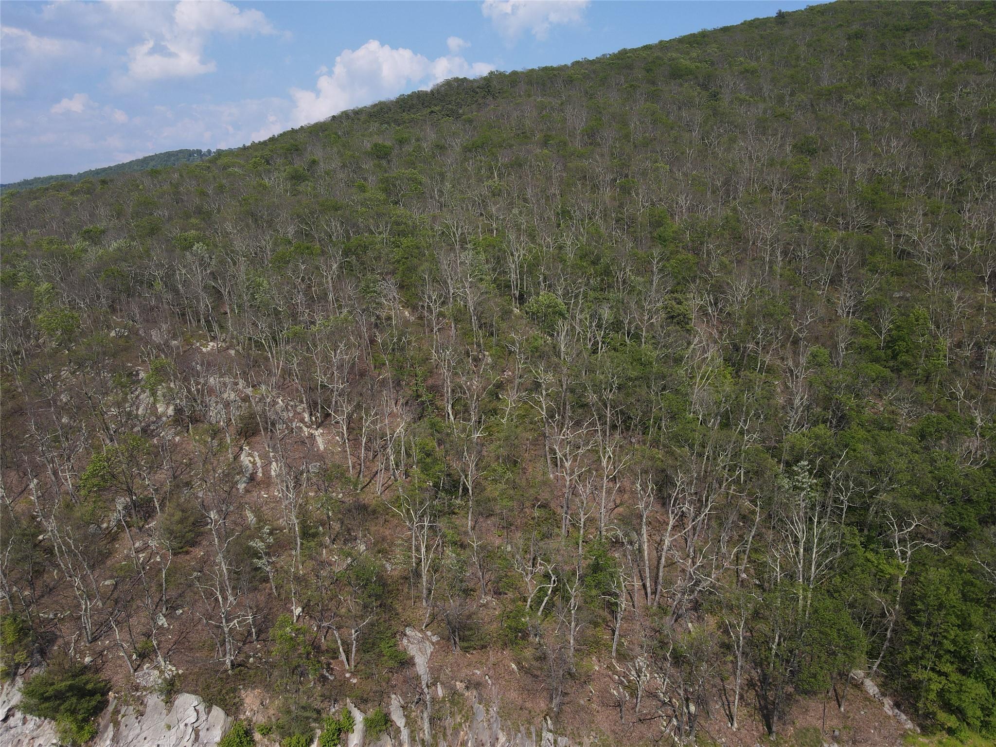 Route 52, Ellenville, NY 12489