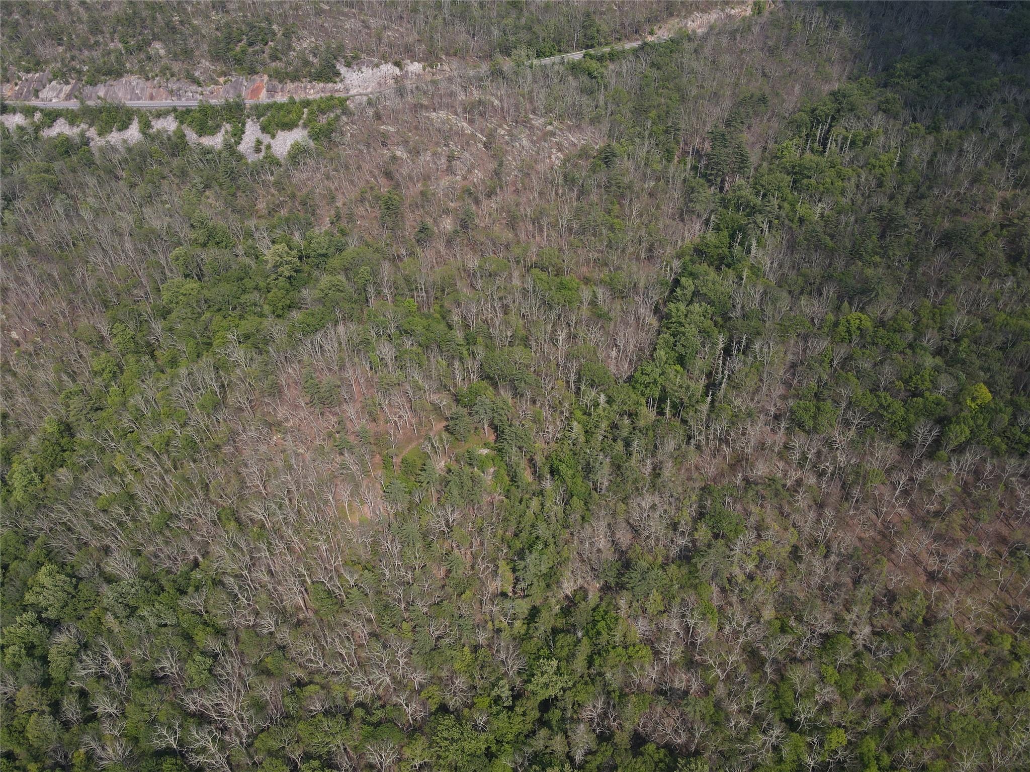 Route 52, Ellenville, NY 12489