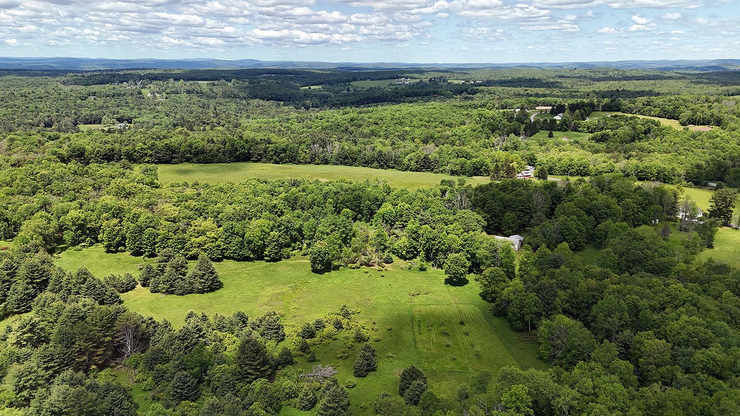 342 Bernas Road, Cochecton, NY 12726