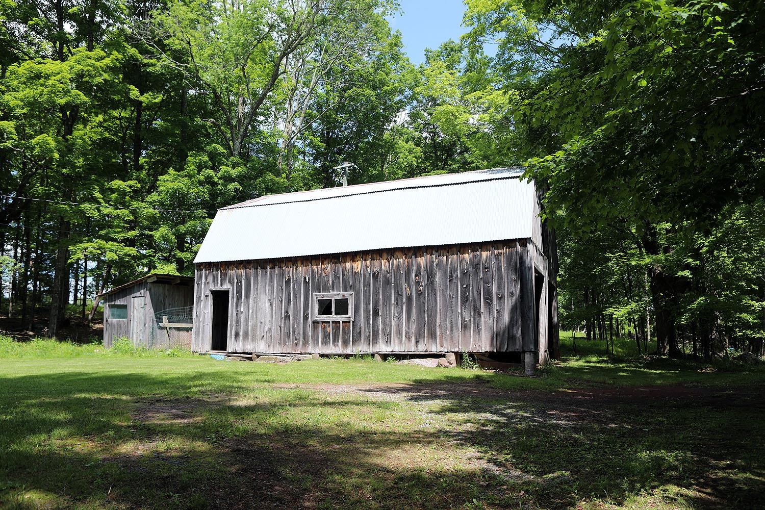 342 Bernas Road, Cochecton, NY 12726