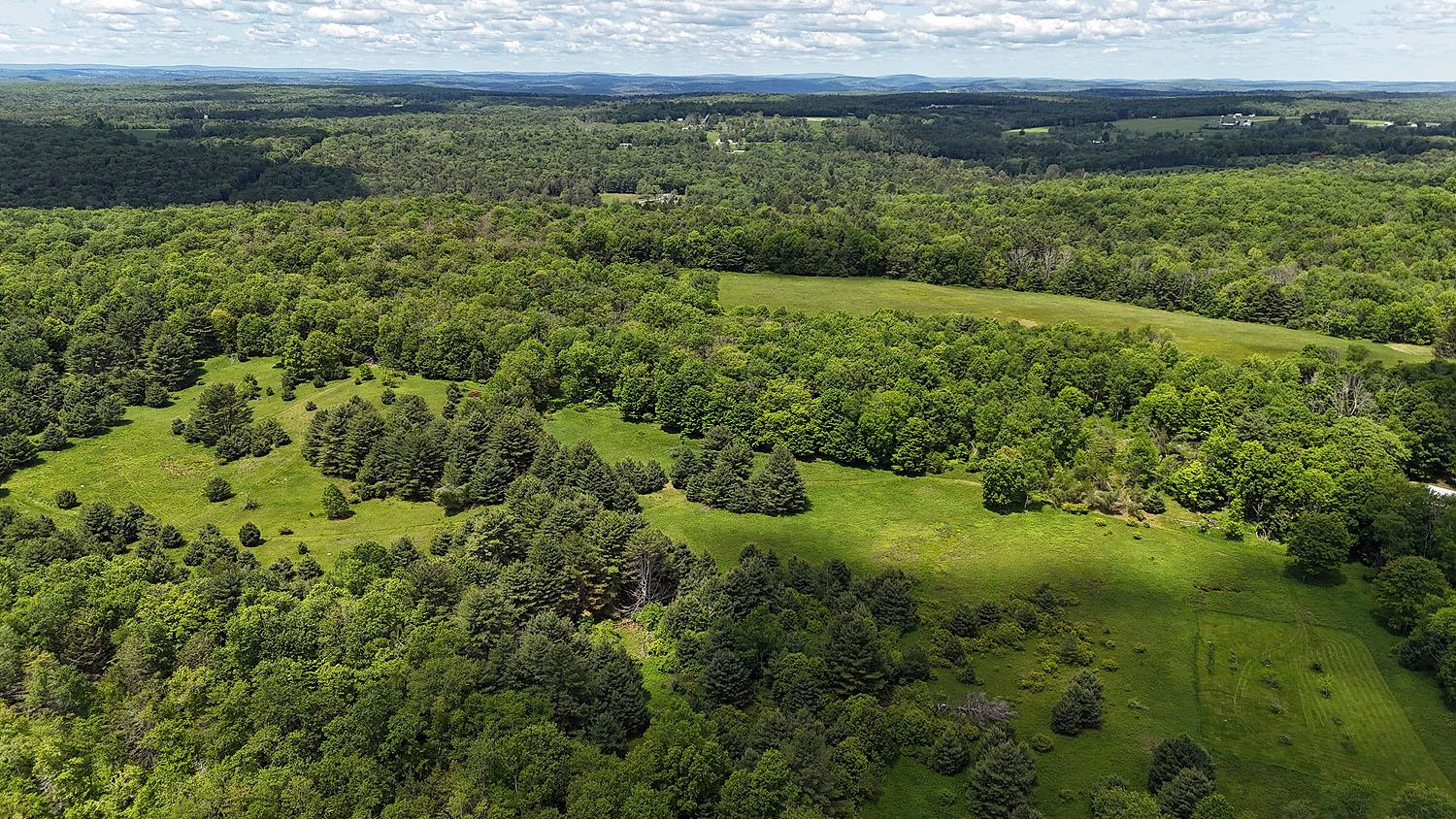 342 Bernas Road, Cochecton, NY 12726