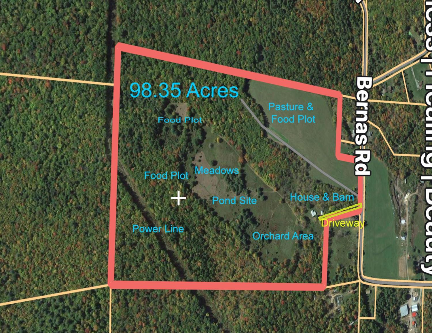 342 Bernas Road, Cochecton, NY 12726