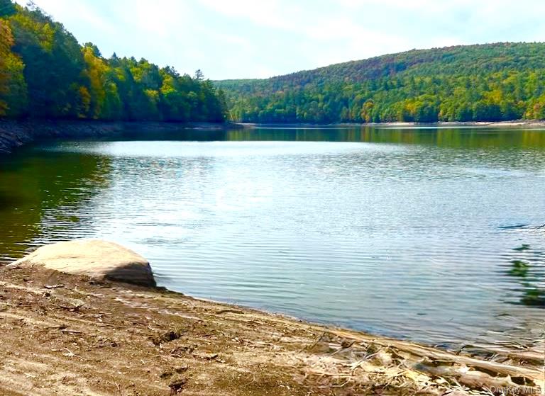 131 Old Plank Road, Sparrowbush, NY 12780