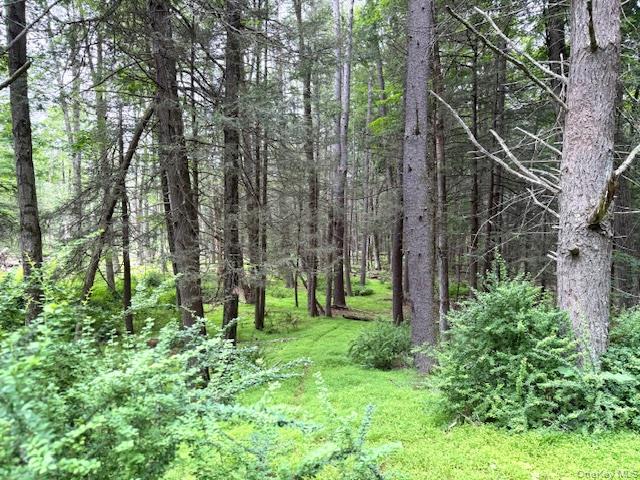 131 Old Plank Road, Sparrowbush, NY 12780