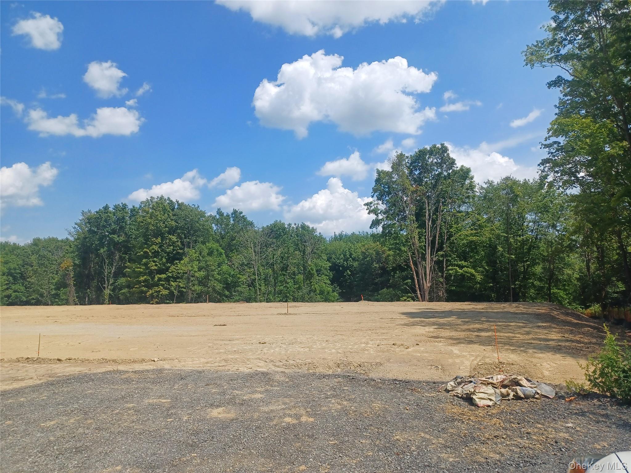 Ridge Road, Montgomery, NY 12549