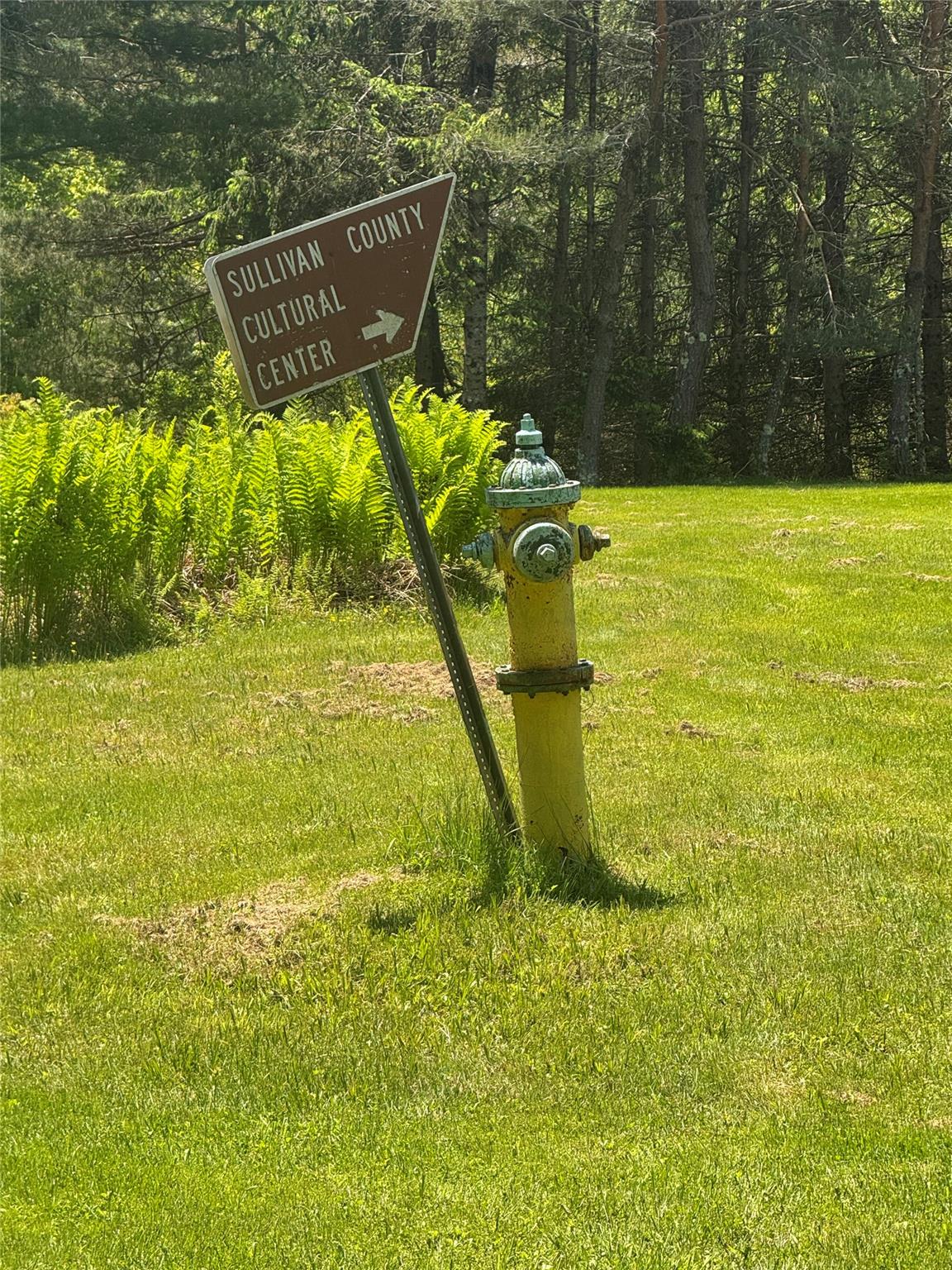 111 Old Lilly Pond Road, Parksville, NY 12768