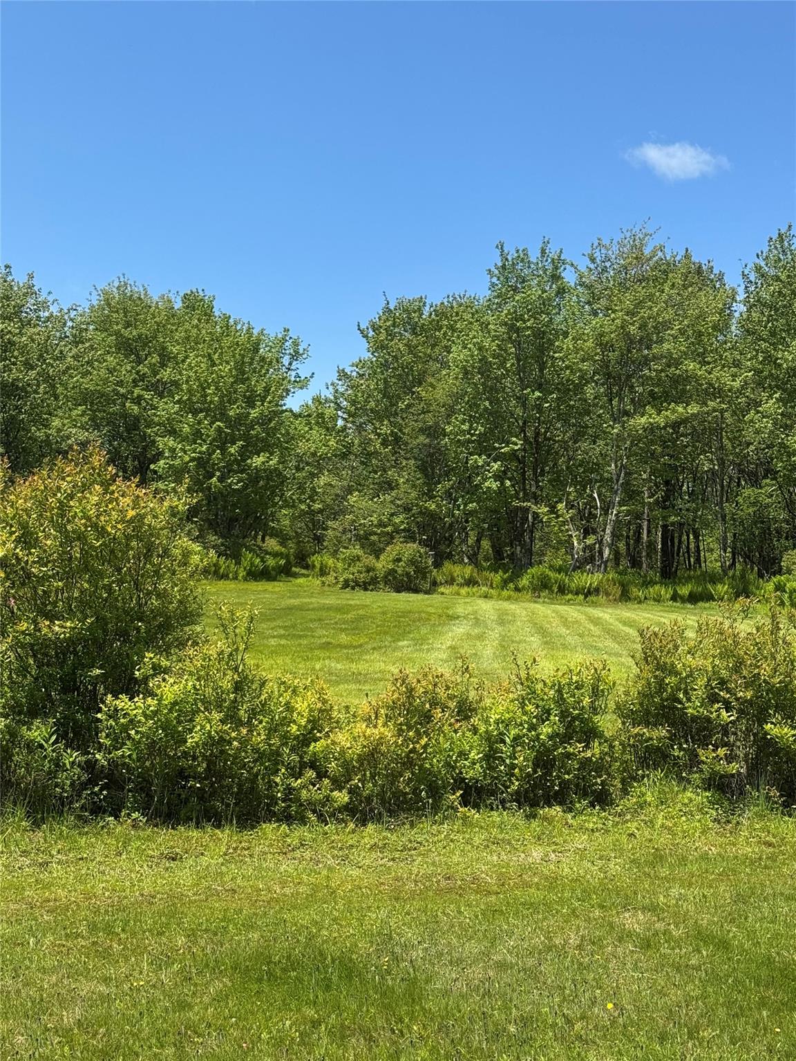 111 Old Lilly Pond Road, Parksville, NY 12768