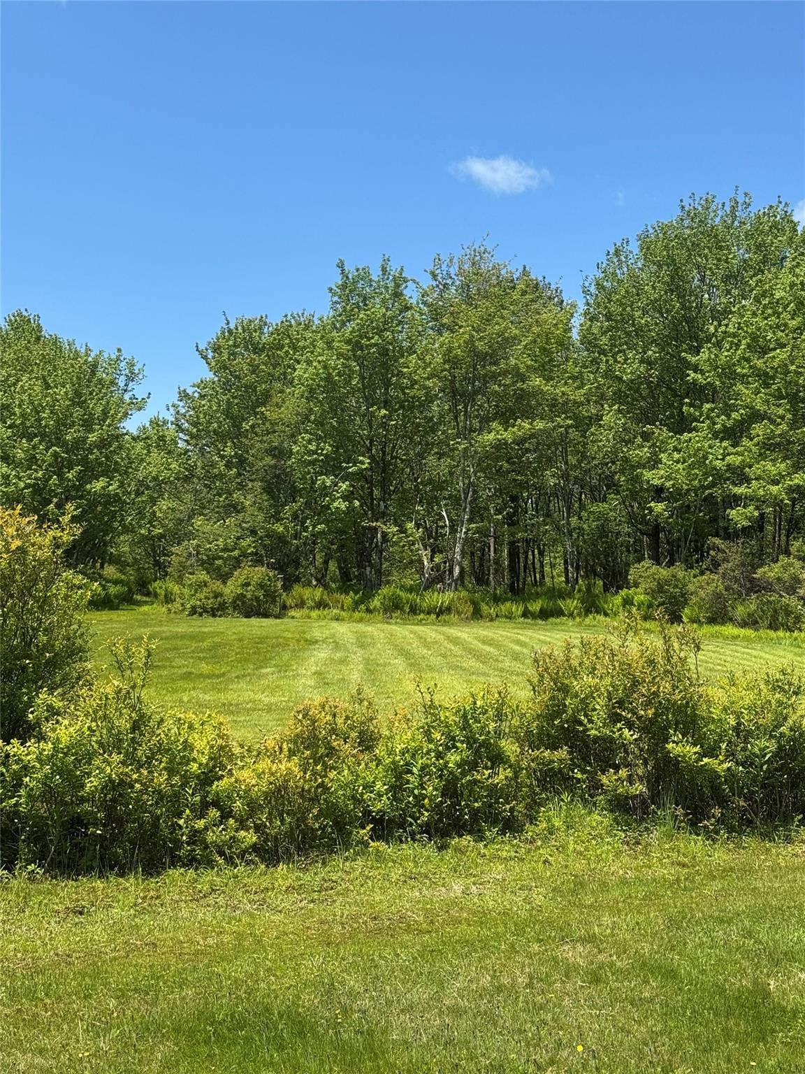 111 Old Lilly Pond Road, Parksville, NY 12768