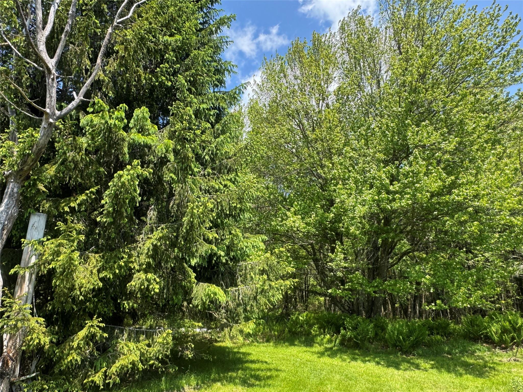 111 Old Lilly Pond Road, Parksville, NY 12768