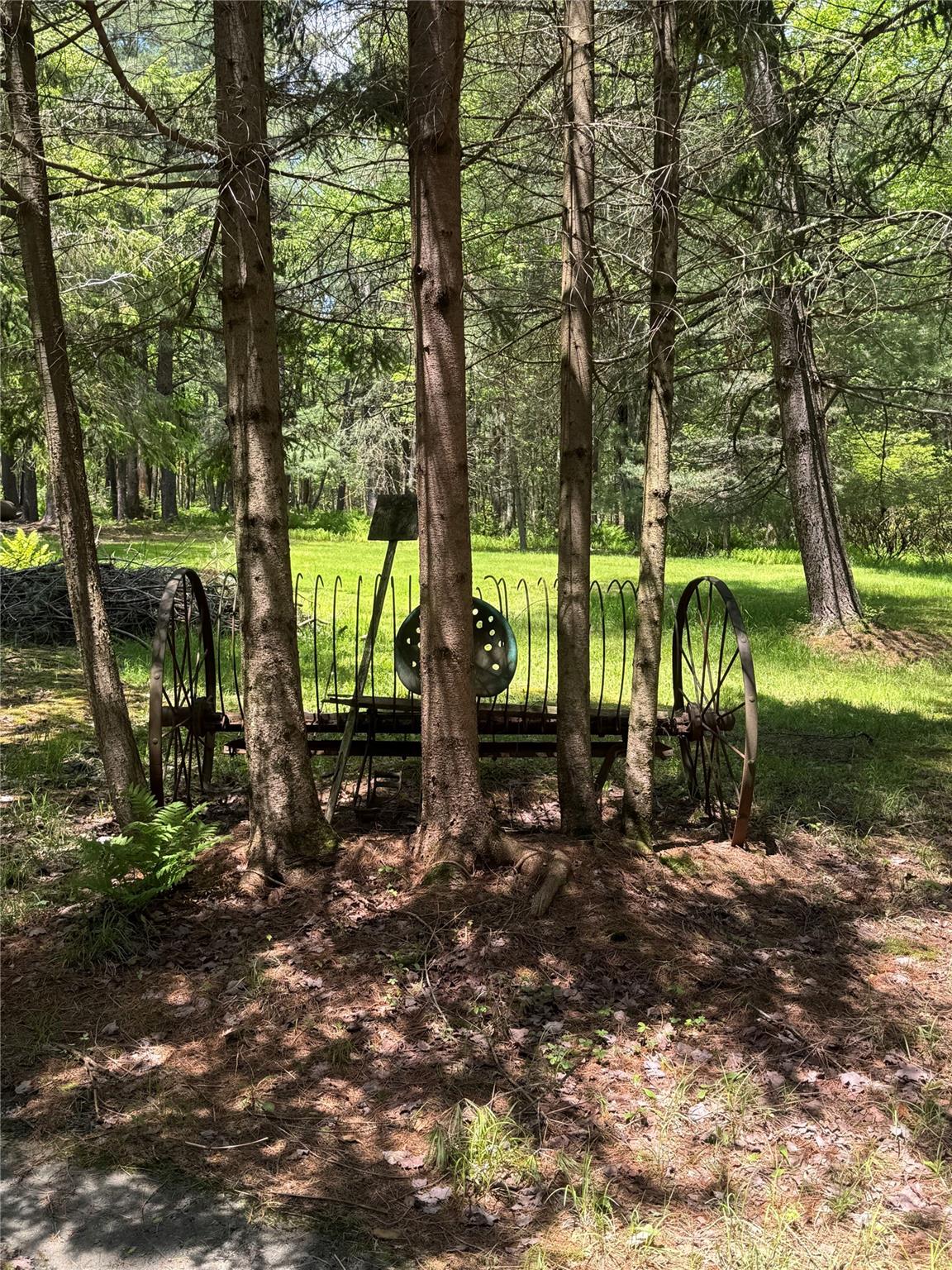 111 Old Lilly Pond Road, Parksville, NY 12768