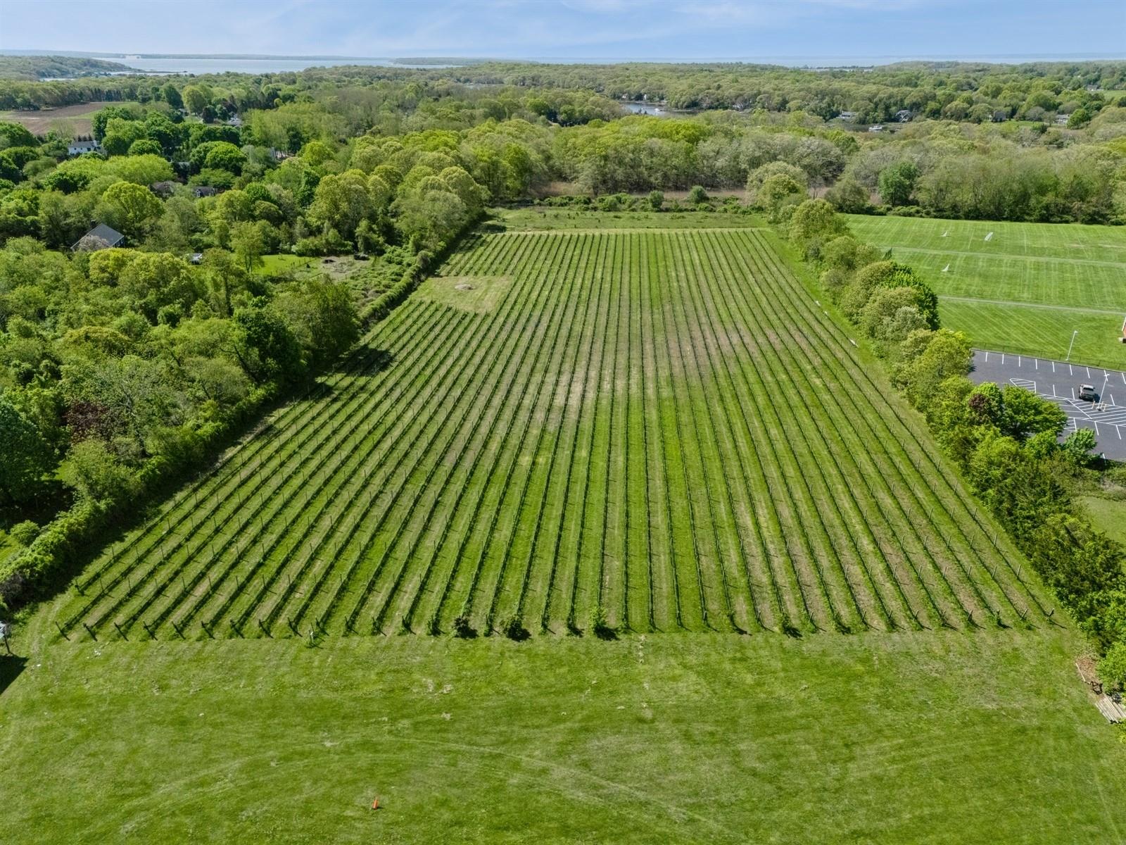 35950 Main Road, Cutchogue, NY 11935