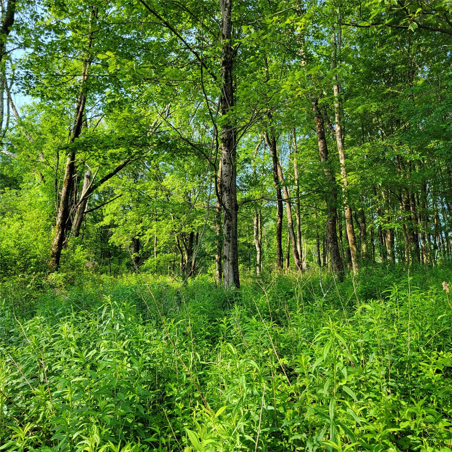 1283 Old Route 17, Harris, NY 12734