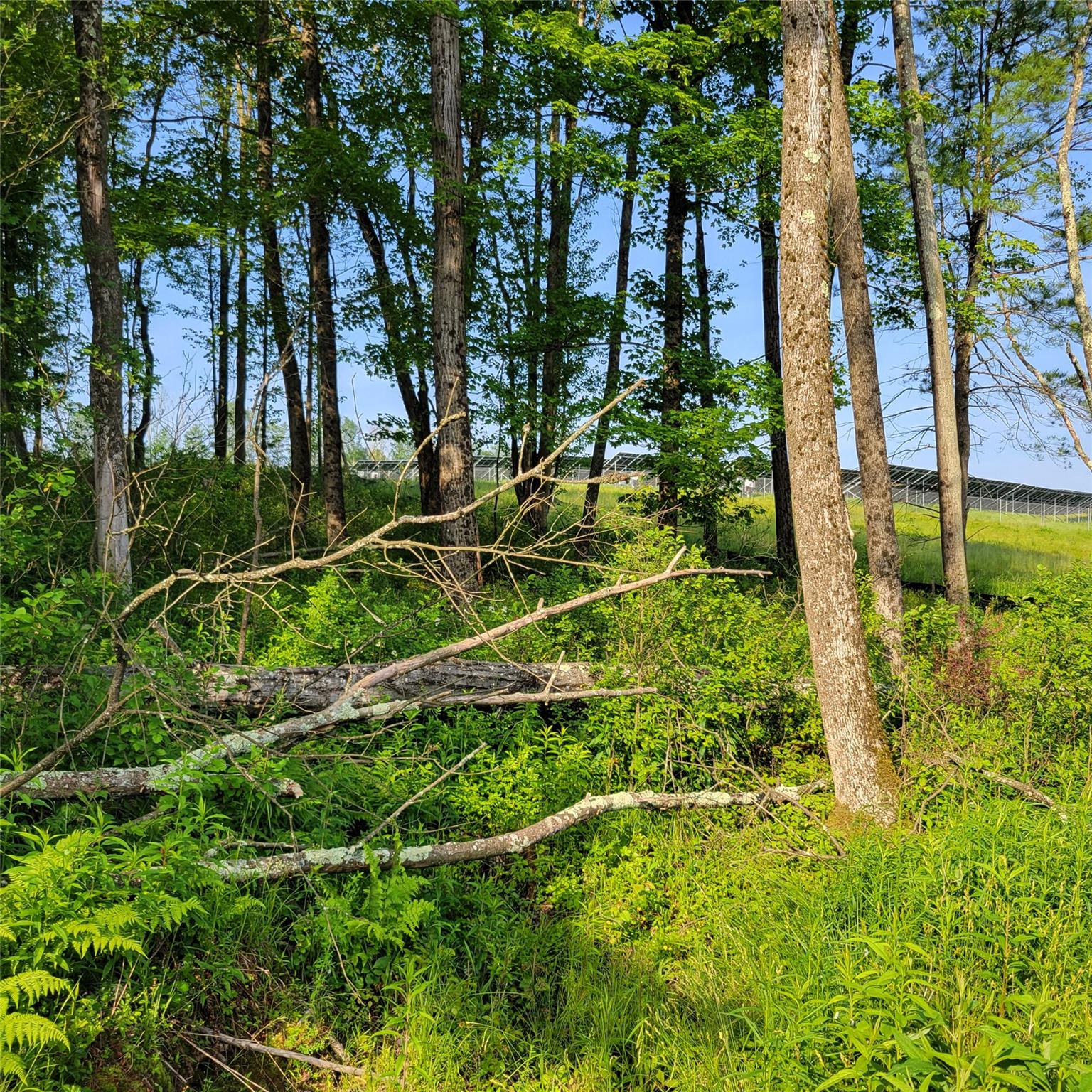 1283 Old Route 17, Harris, NY 12734