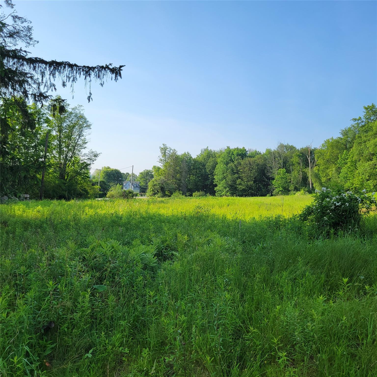 1283 Old Route 17, Harris, NY 12734