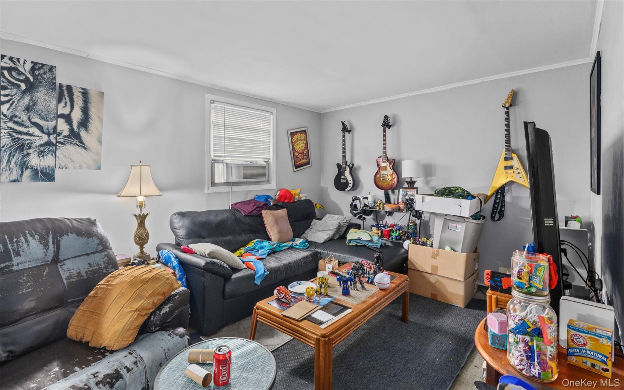 84 Charles Street, Mineola, NY 11501