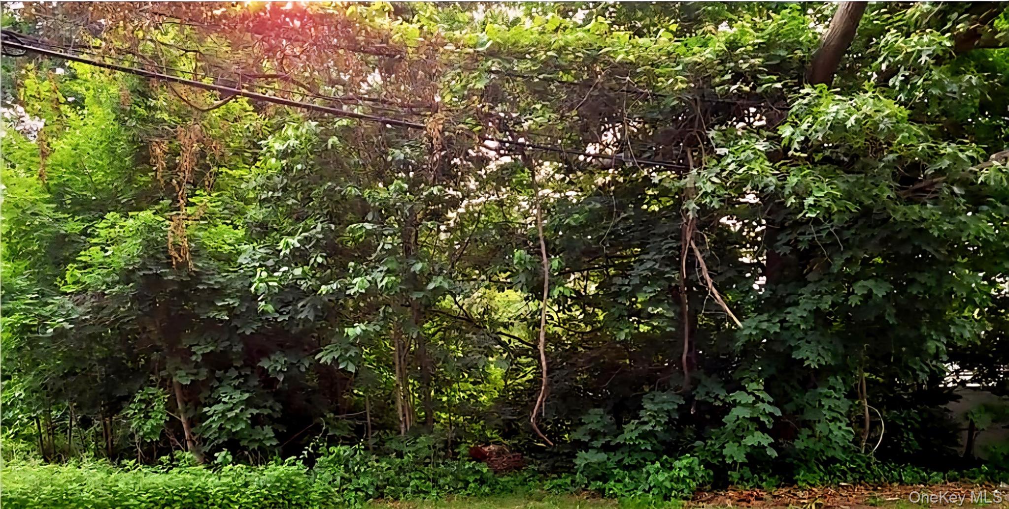 191 RONKONKOMA Avenue, Ronkonkoma, NY