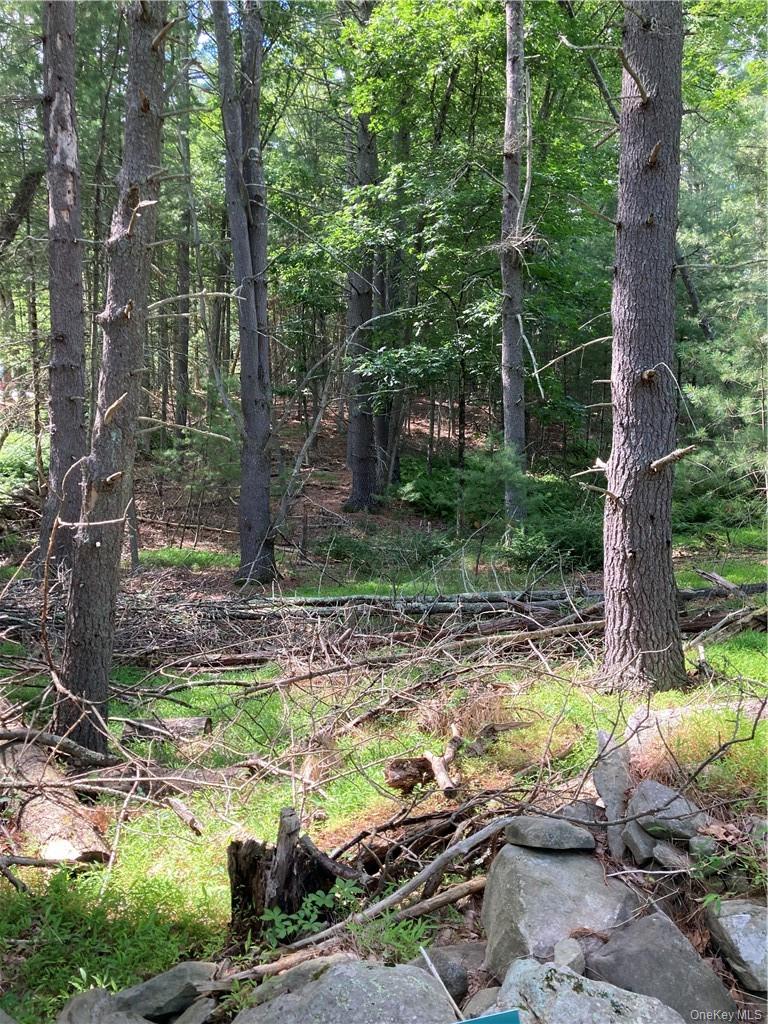 Irishtown Road, Narrowsburg, NY 12764