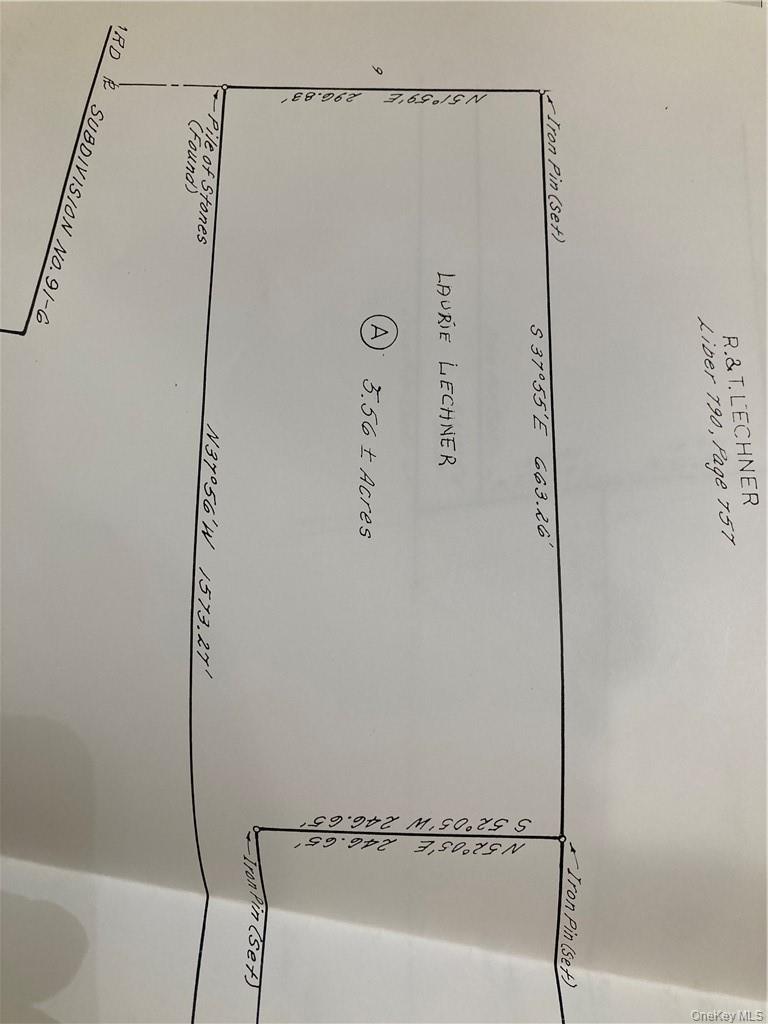 Irishtown Road, Narrowsburg, NY 12764