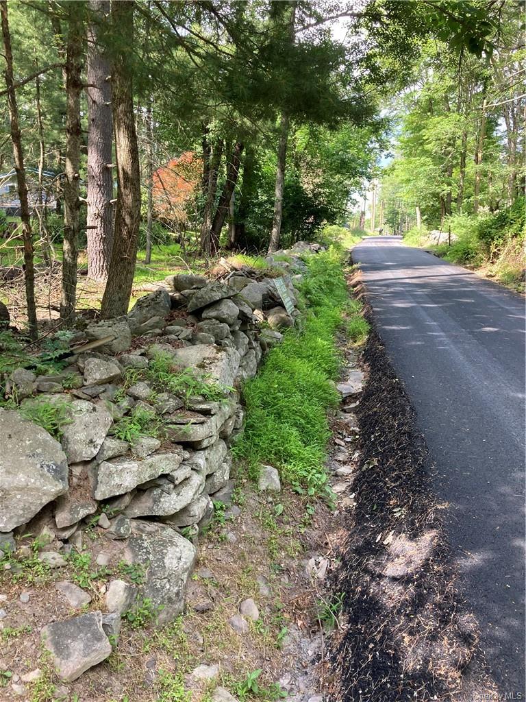 Irishtown Road, Narrowsburg, NY 12764