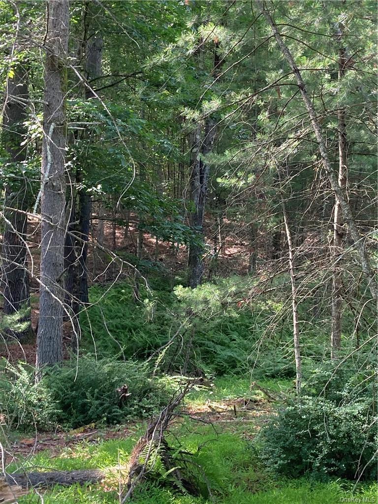 Irishtown Road, Narrowsburg, NY 12764