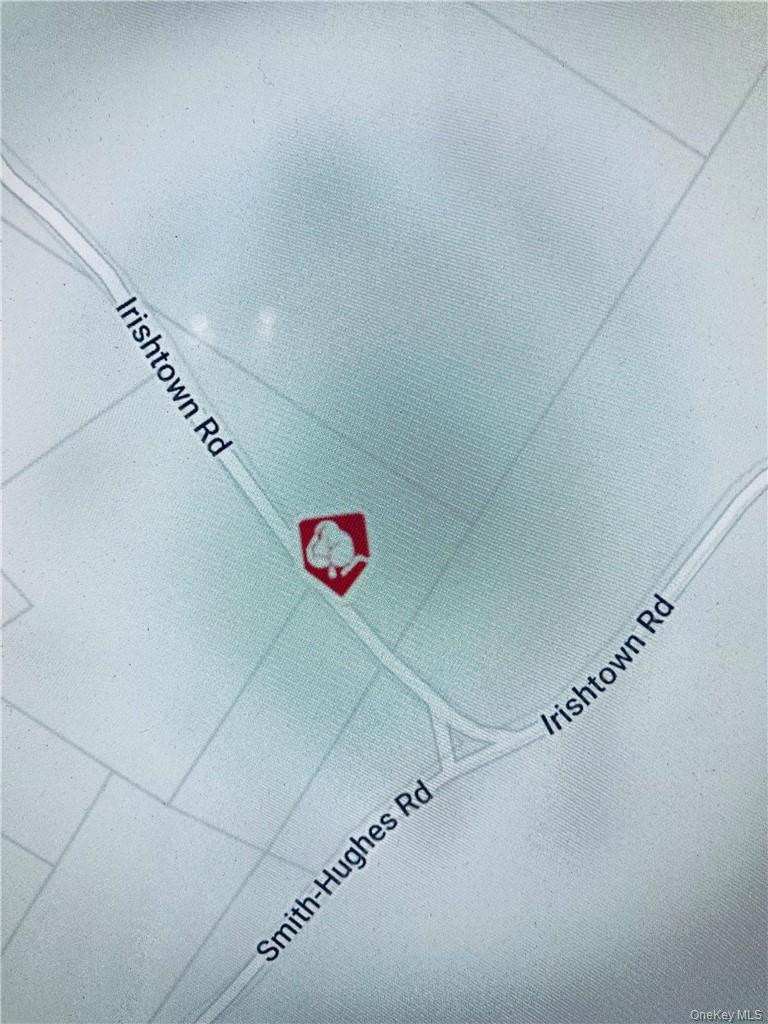 Irishtown Road, Narrowsburg, NY 12764