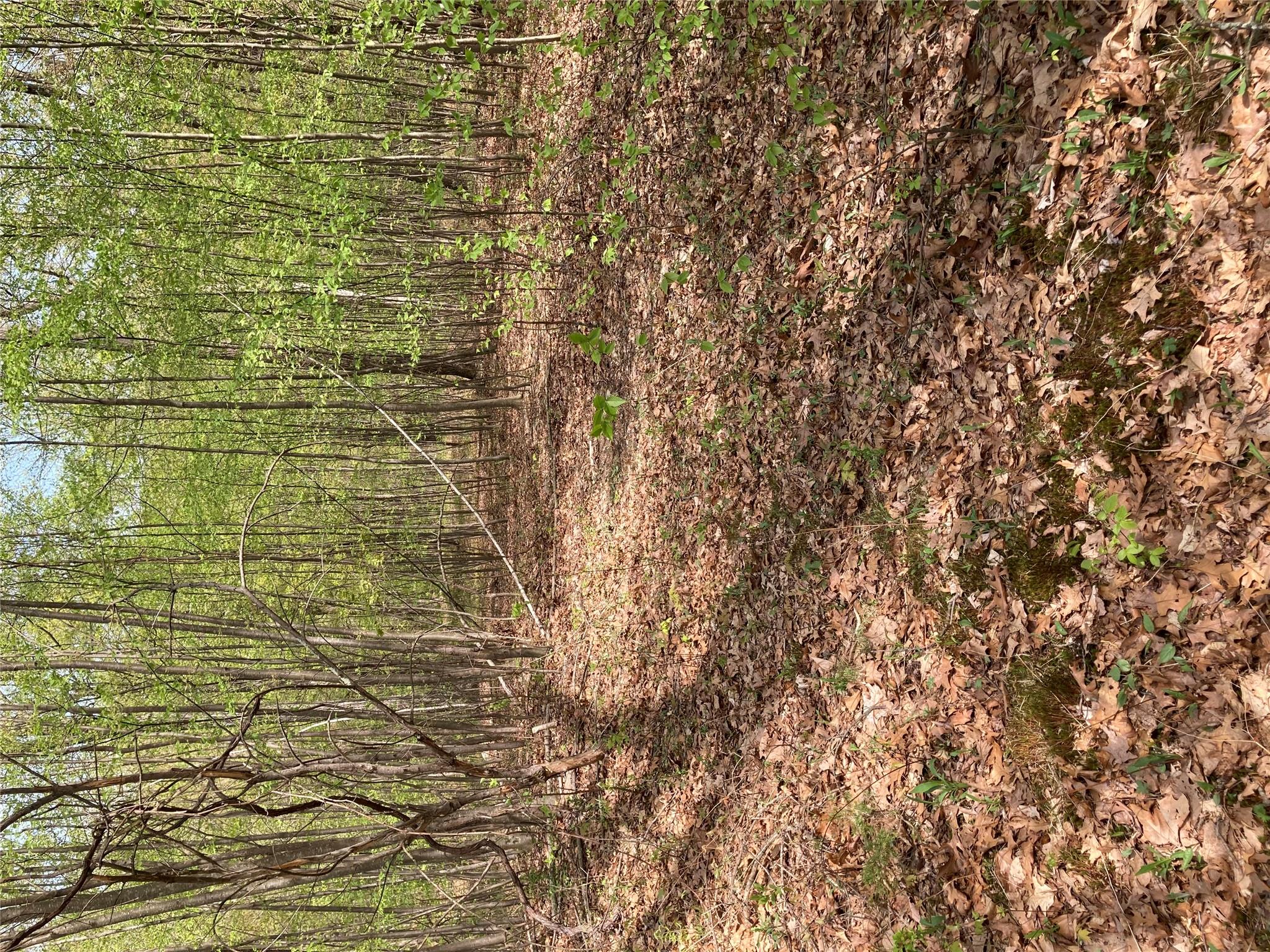 Canterbury Drive, Newburgh, NY 12550