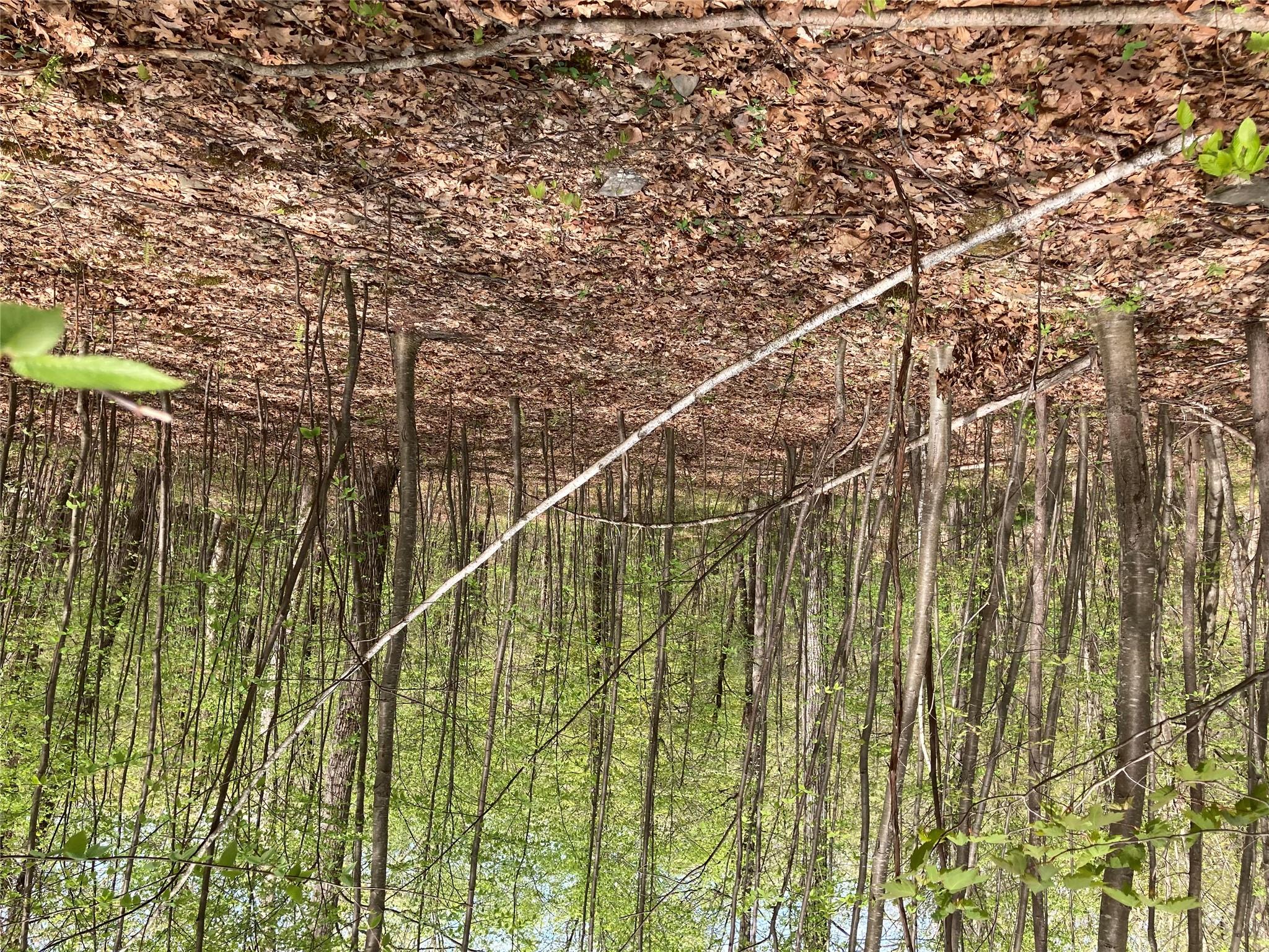 Canterbury Drive, Newburgh, NY 12550