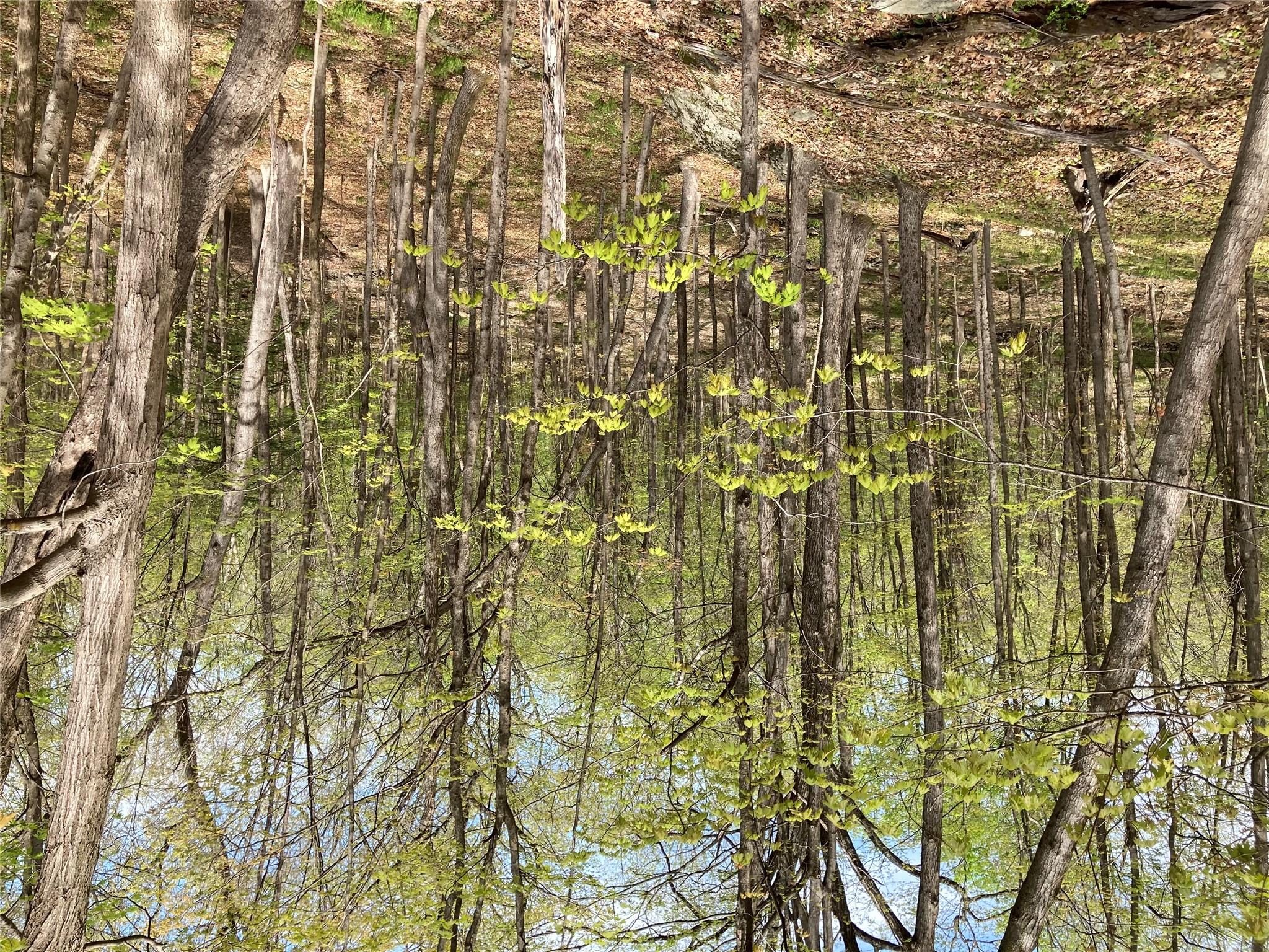 Canterbury Drive, Newburgh, NY 12550