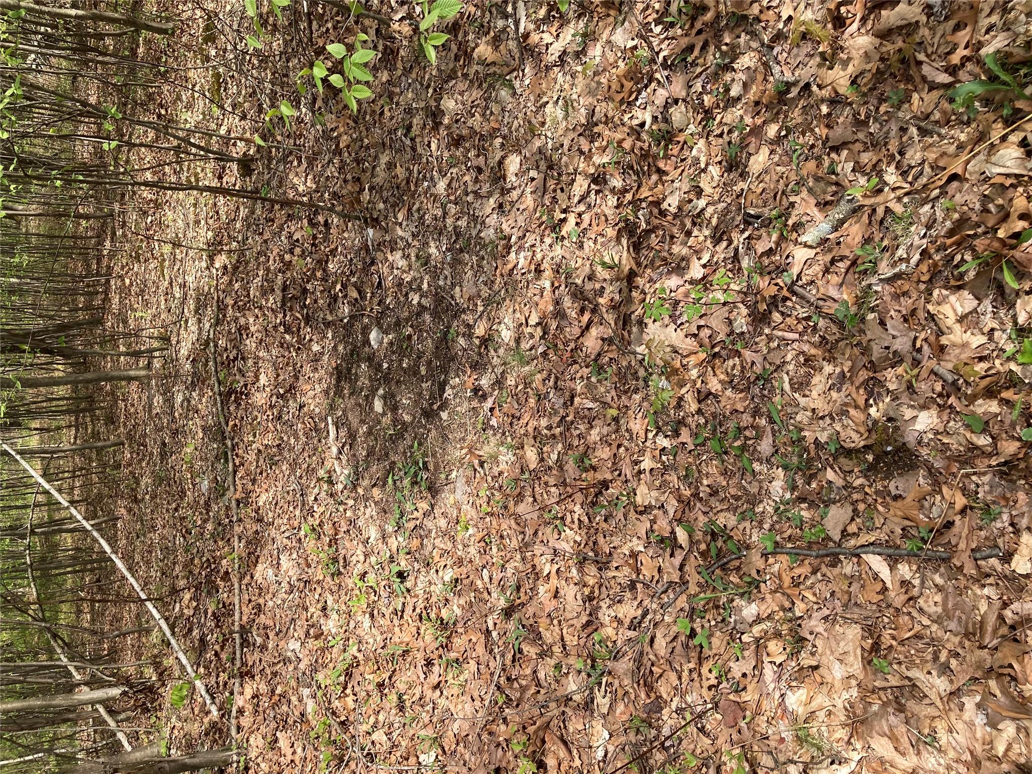 Canterbury Drive, Newburgh, NY 12550