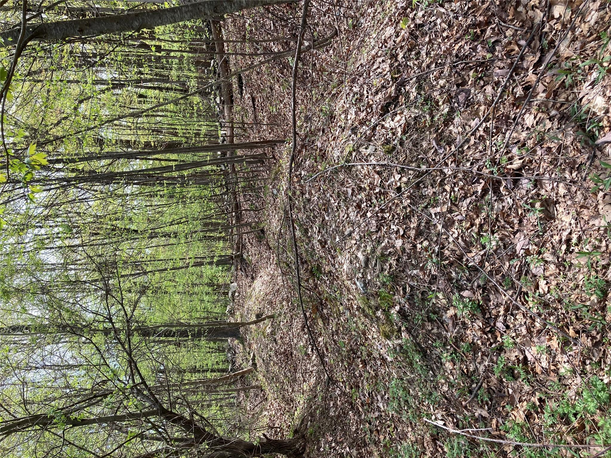 Canterbury Drive, Newburgh, NY 12550