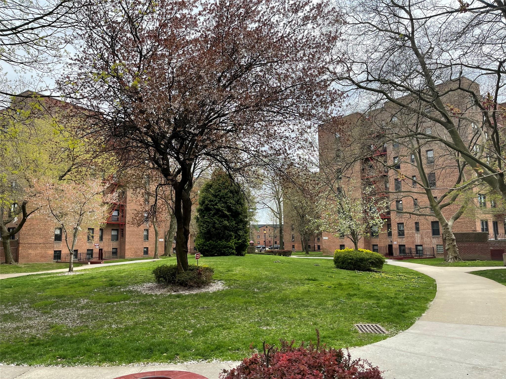 150-11 72 Road # 6A, Flushing, NY 11367