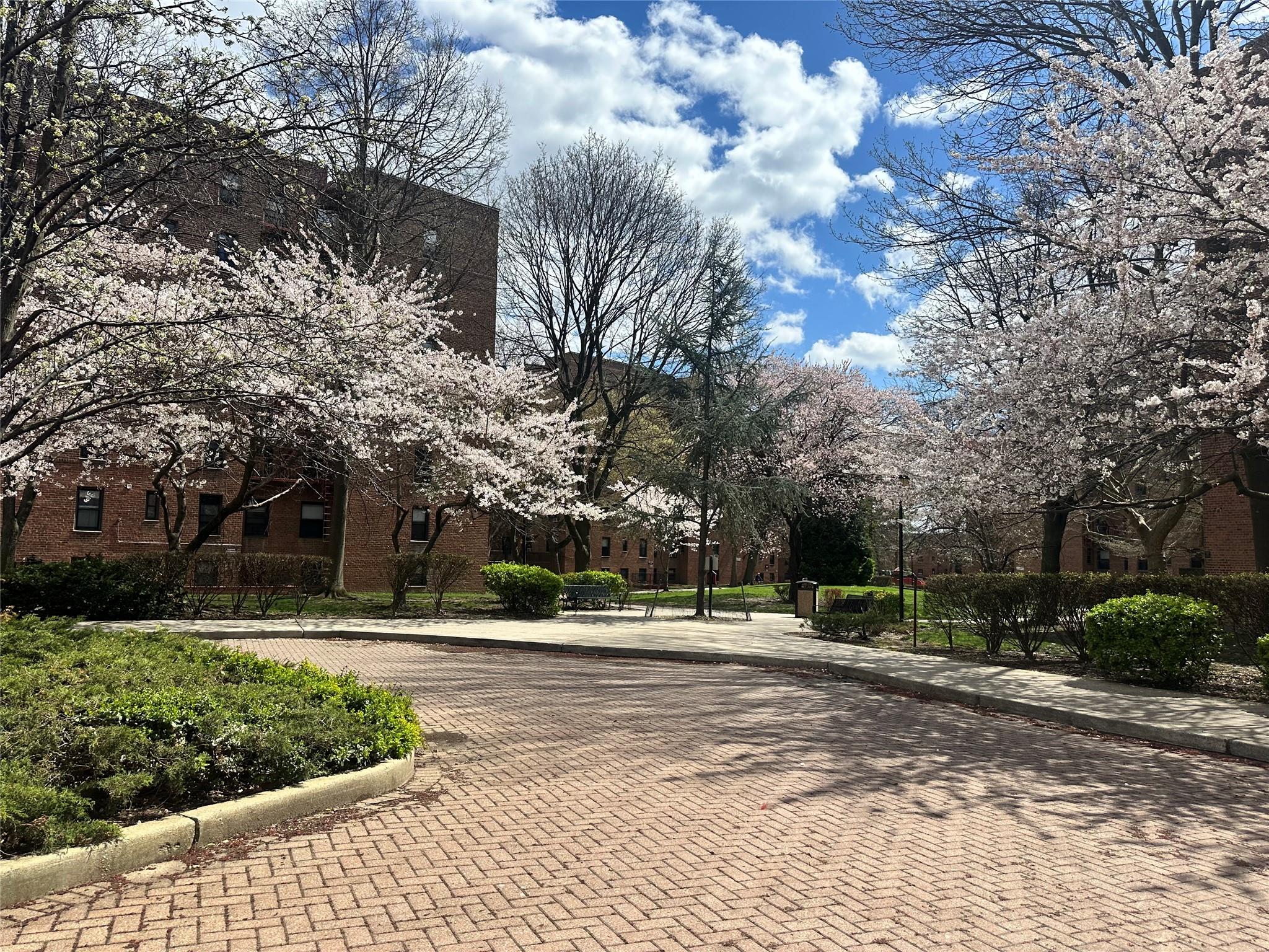 150-11 72 Road # 6A, Flushing, NY 11367