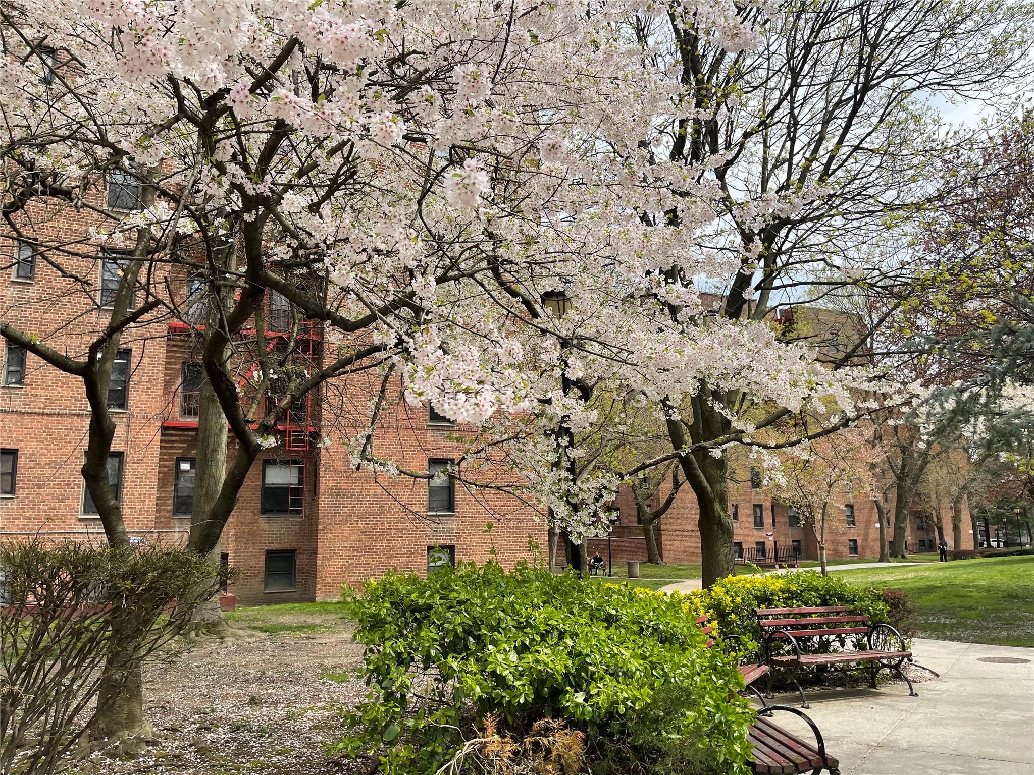 150-40 71 Avenue # 2F, Kew Garden Hills, NY 11367