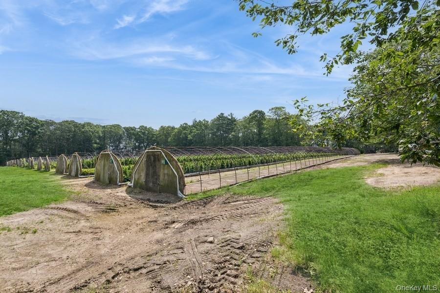 550 / 538 Herricks Lane, Jamesport, NY 11901