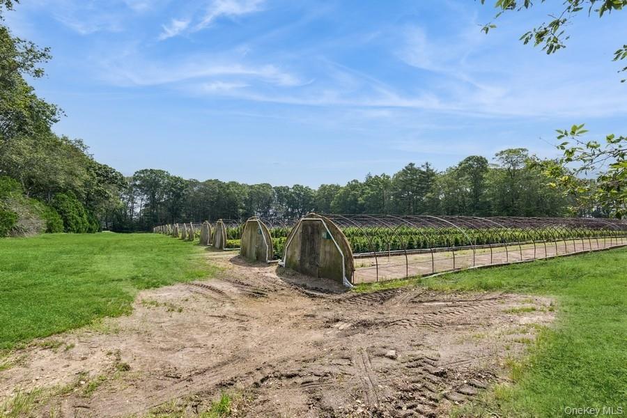 550 / 538 Herricks Lane, Jamesport, NY 11901