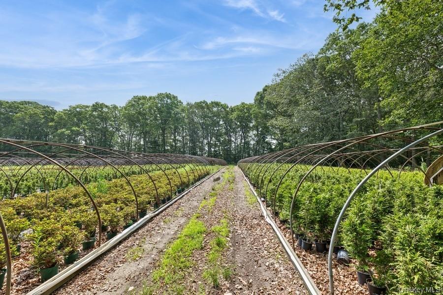 550 / 538 Herricks Lane, Jamesport, NY 11901