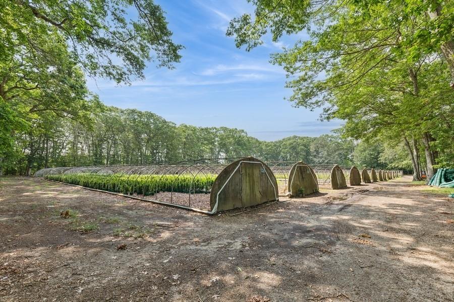 550 / 538 Herricks Lane, Jamesport, NY 11901