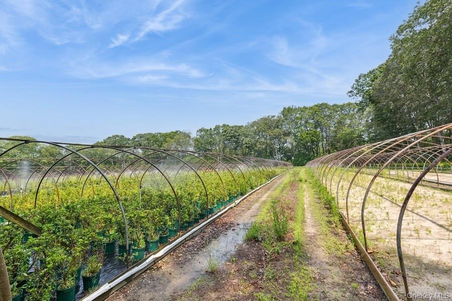 550 / 538 Herricks Lane, Jamesport, NY 11901