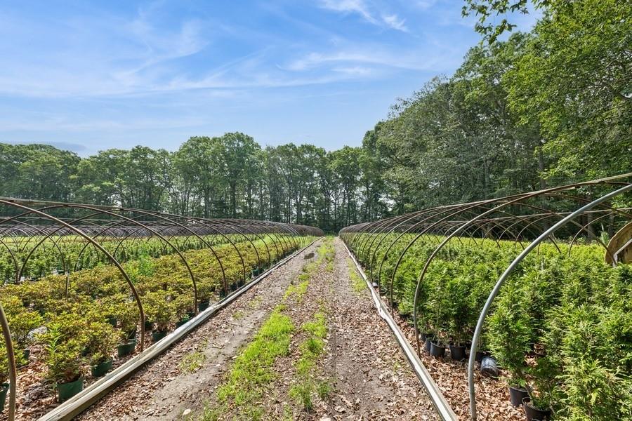 550 / 538 Herricks Lane, Jamesport, NY 11901