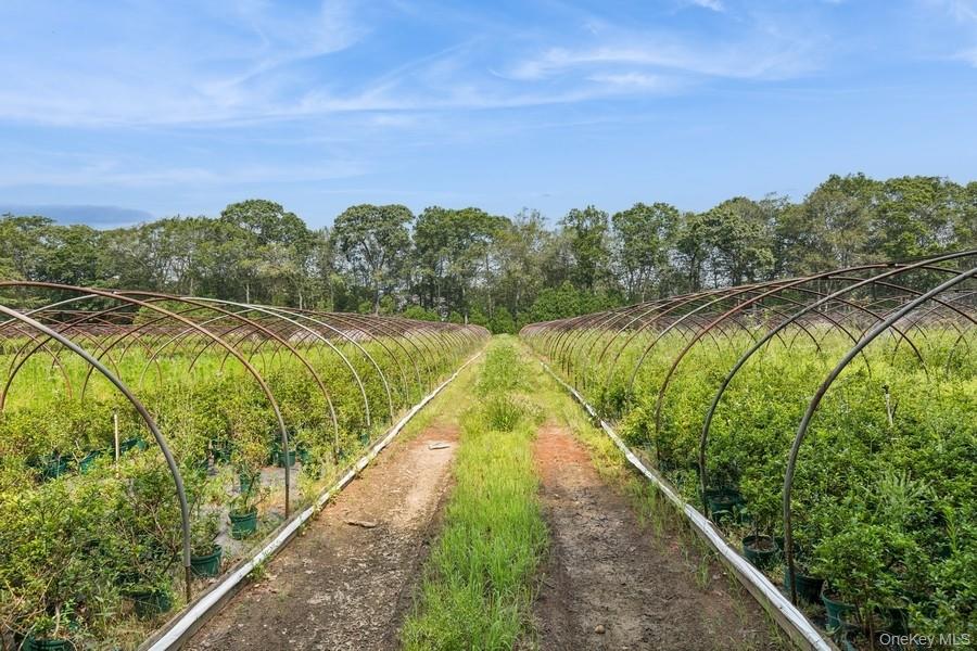 550 / 538 Herricks Lane, Jamesport, NY 11901