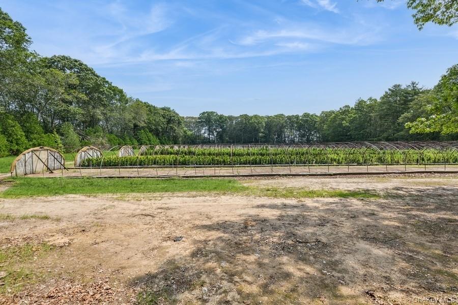 550 / 538 Herricks Lane, Jamesport, NY 11901