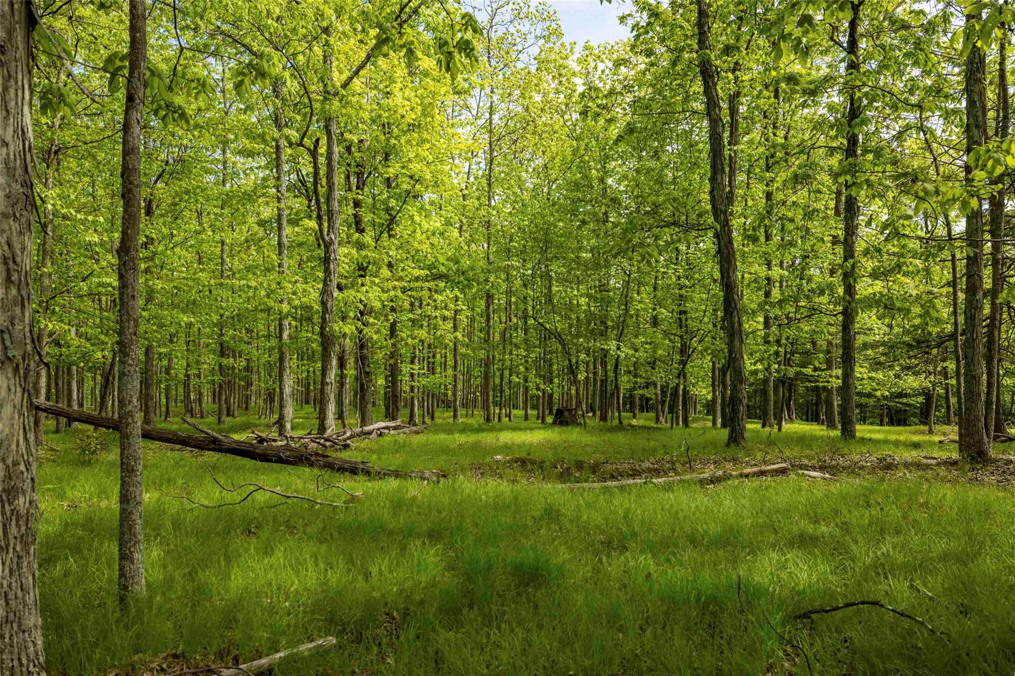 8 Forest Camp Road, Wawarsing, NY 12489