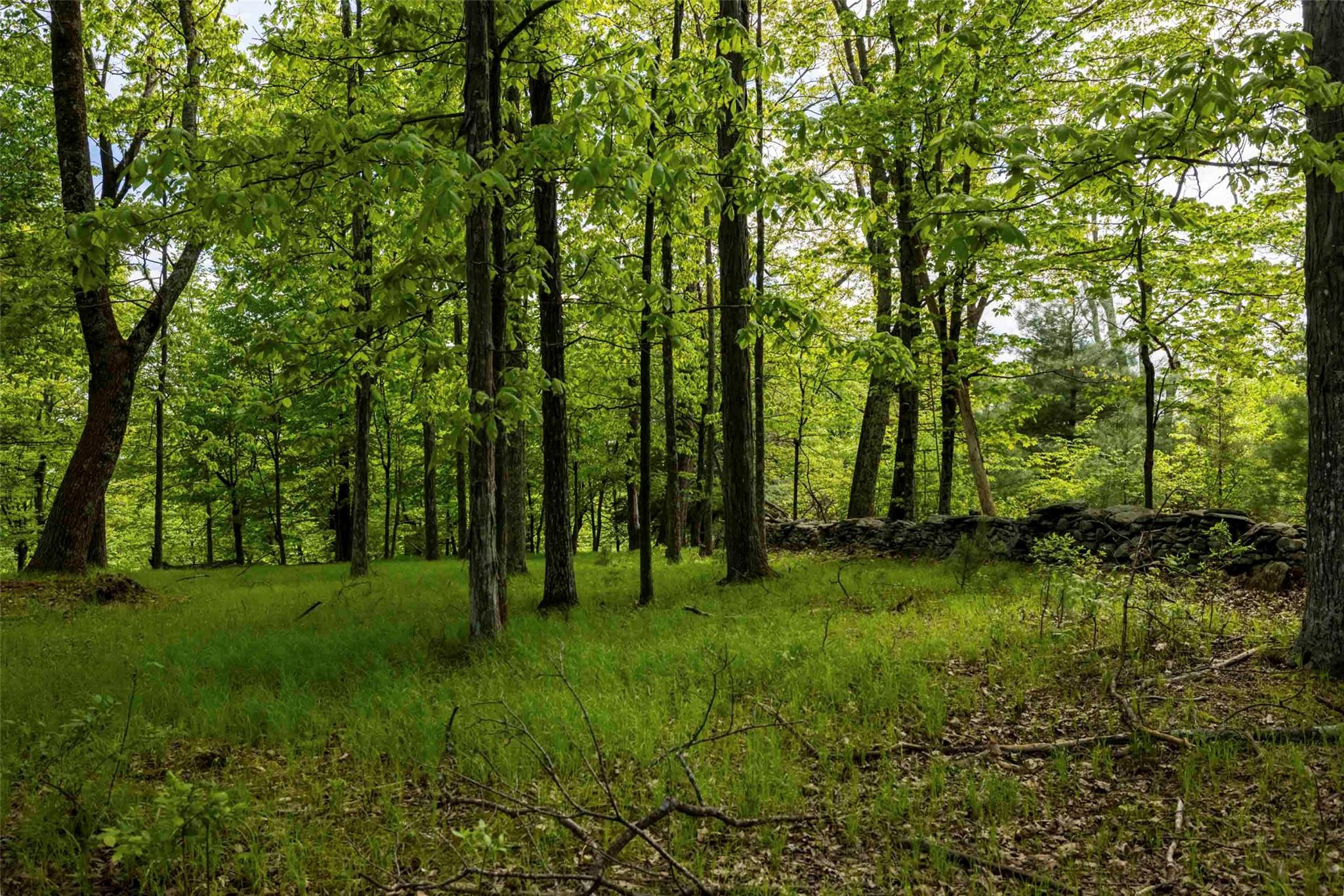 8 Forest Camp Road, Wawarsing, NY 12489